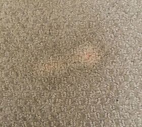 how do i cover a bleached spot on a wool carpet