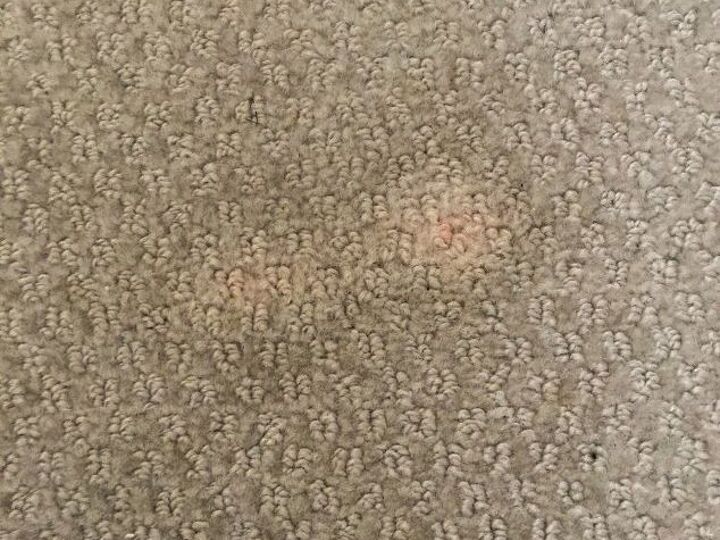 q how to cover bleached spot in wool carpet