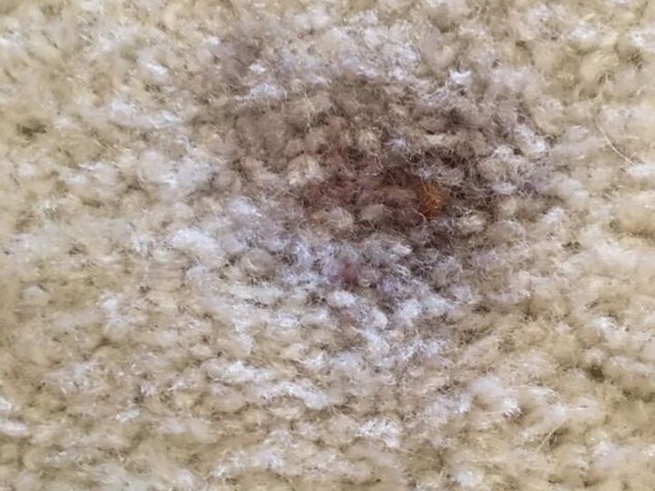 q how do i remove a stain
