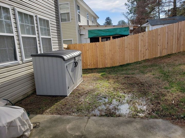 How can I fix this backyard drainage issue? | Hometalk