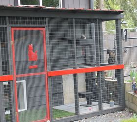 pallet cat enclosure