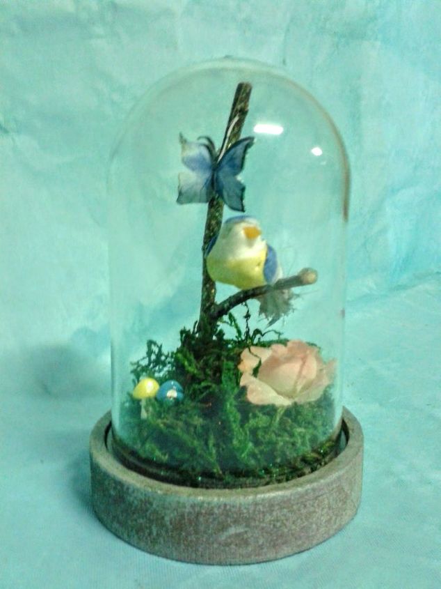 transparent bell mini fairy terrarium branch bird butterfly moss