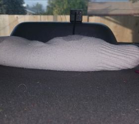 moisture and odor absorbing cat litter socks for the car