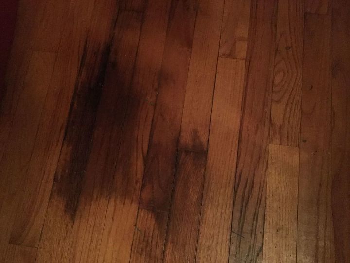 q how do i remove dark pet stains on my finished hardwood floor