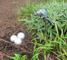 bird eggs painted light globes