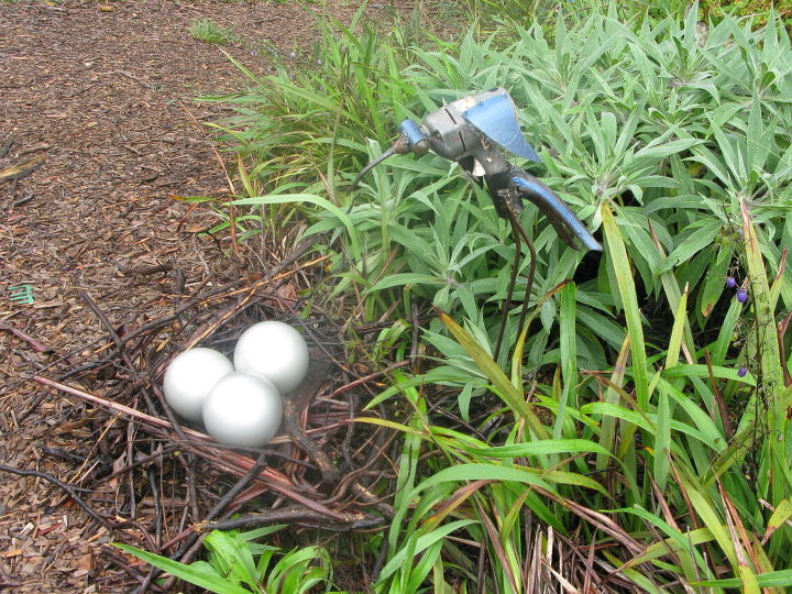 bird eggs painted light globes