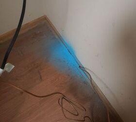 what is this blue powder coming from around baseboards in my kitchen
