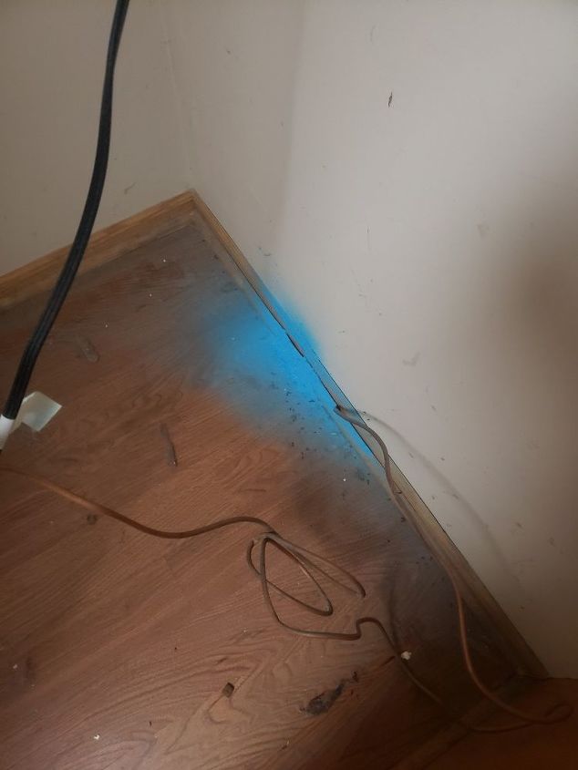 what is this blue powder coming from around baseboards in my kitchen