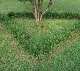 How to transform your overgrown front yard in just 3 hours