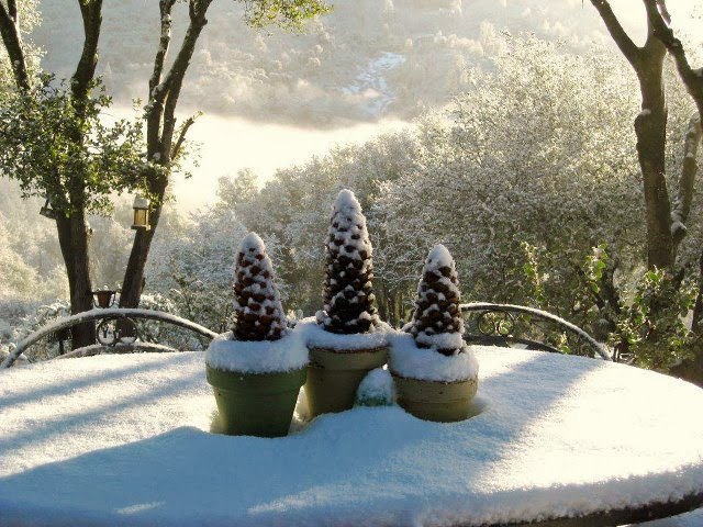 diy pine cone trees for winter decor
