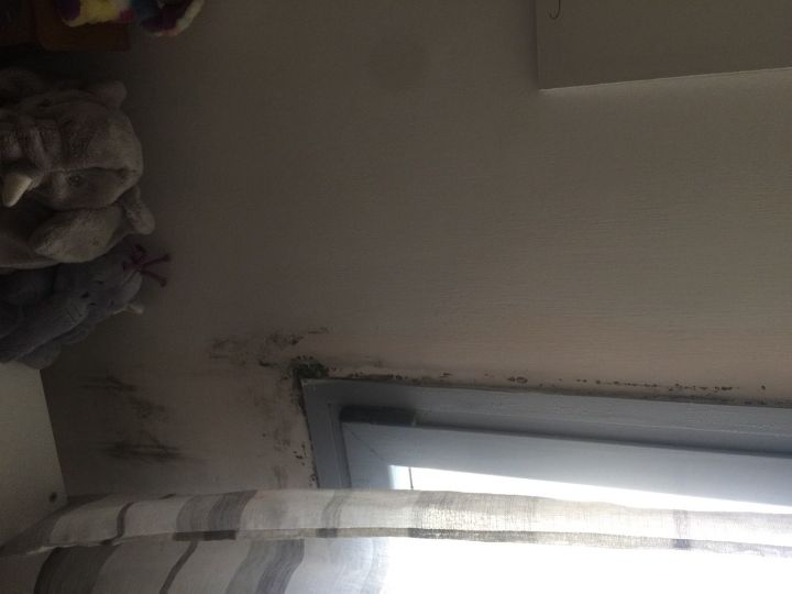 q mold on the wall