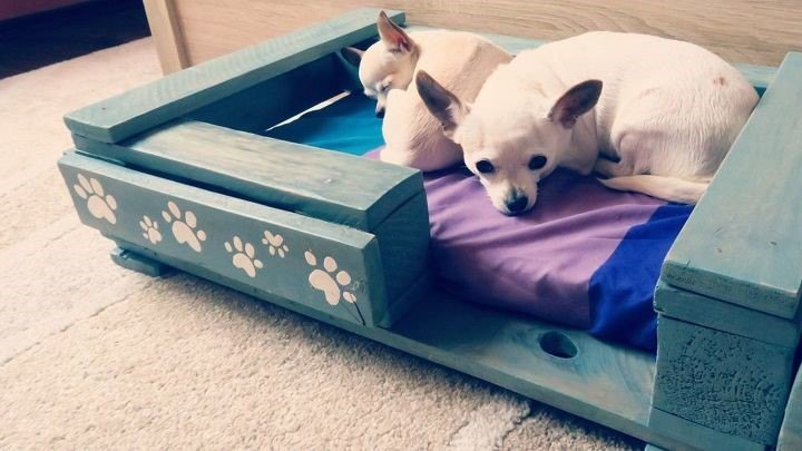 25 best diy pallet projects that will transform your home and yard, Pet Bed From Pallet PaintyCloud