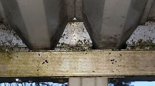 What Is The Easiest Way To Clean An Aluminum Awning Gutter Hometalk