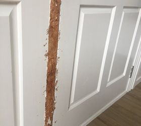 how can i repair dog damaged door frame