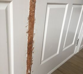 dog chewed wood molding