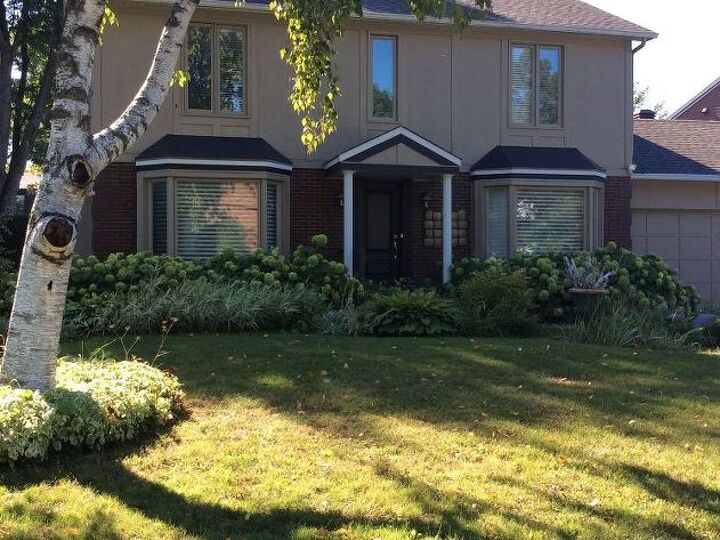 q exterior colour