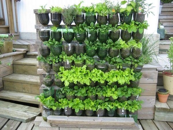 15 idias de jardim diy peculiares e divertidas, Id ias de jardinagem de cont ineres jardim de garrafas de refrigerante web de jardim de varanda
