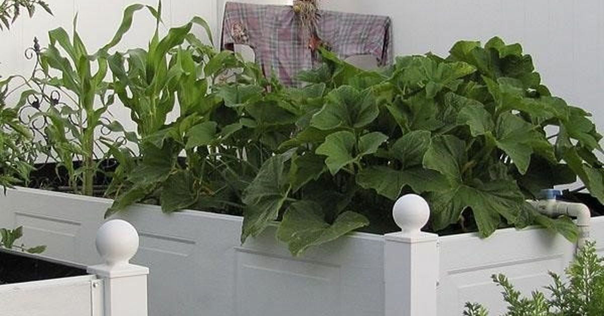 How to Make a Garden Box for Your Best Yard Ever | Hometalk