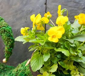 how to make a lucky leprechaun planter