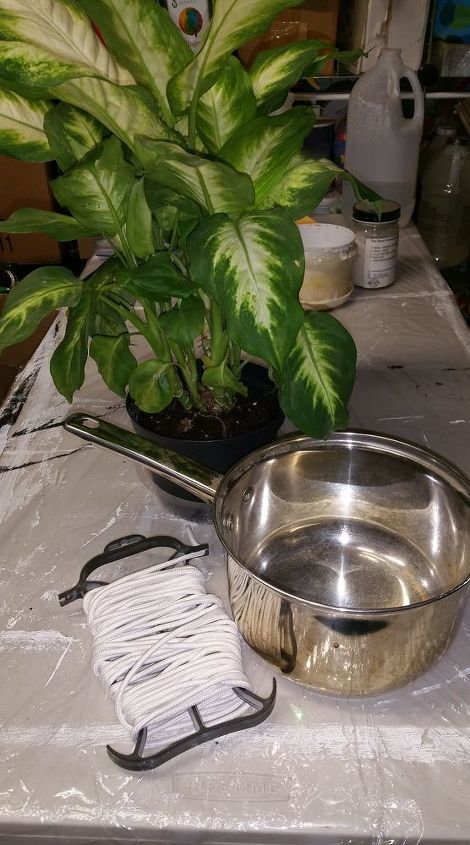 from cook pot to flower pot
