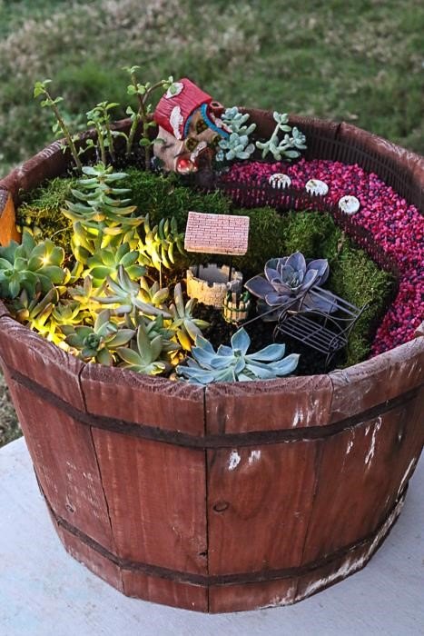 20 ideias de jardim de fadas mais criativas, Jardim de fadas com suculentas Tori Grant