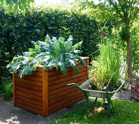The Best DIY Raised Garden Bed Ideas