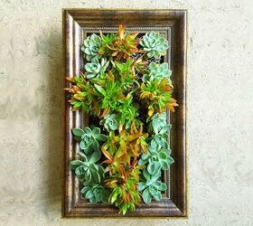 the most ingenious vertical garden ideas for small spaces, Vertical Succulent Garden A Crafty Mix Michelle