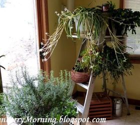 the most ingenious vertical garden ideas for small spaces, Ladder Vertical Garden Ideas Judy
