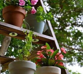 the most ingenious vertical garden ideas for small spaces, Vertical Garden Ladder Kristen M