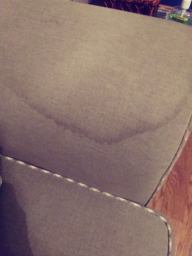 Water Stain Out Of My Couch, How To Remove Stains Sofa
