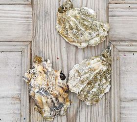 glamourous oyster shell candles