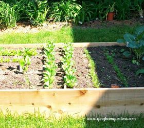how to plan plant a vegetable garden