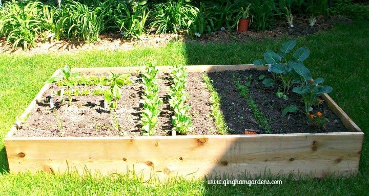 how to plan plant a vegetable garden