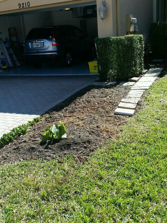 how to landscape this area which is on the side of a driveway