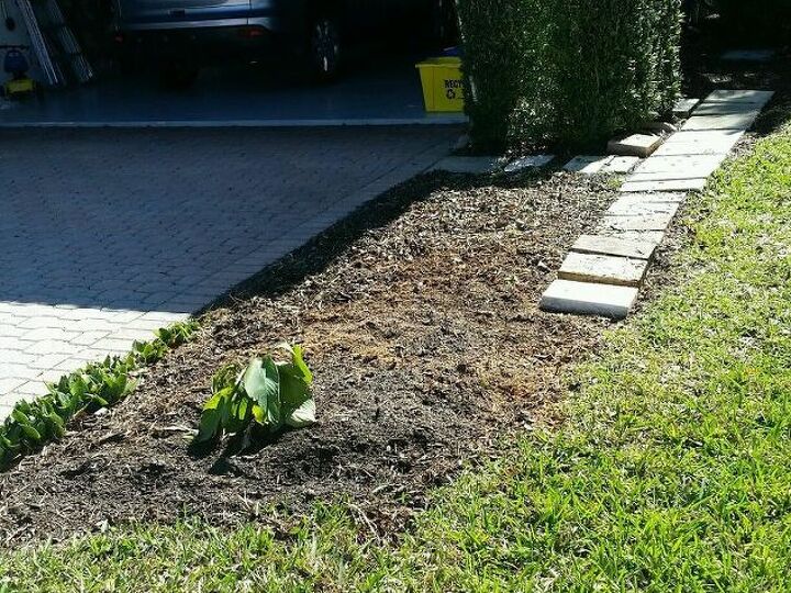 q how to landscape this area which is on the side of a driveway