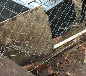 Dog chewing through 2025 chain link fence