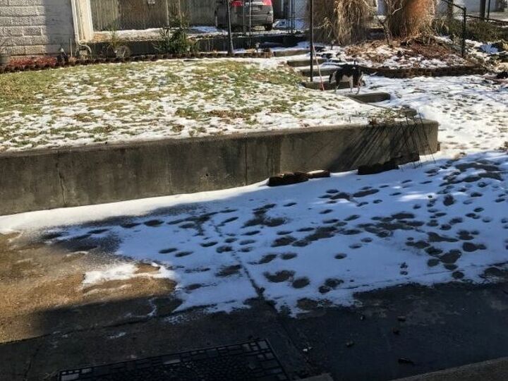 q i need some ideas for backyard privacy
