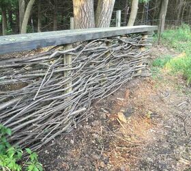 turning dreaded buckthorn into an english wattle fence, An Old English wattle fence made of buckthorn