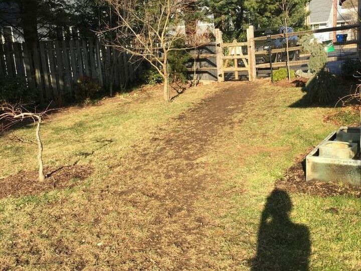 q how can i maintain healthy grass when i have a very active dog was t