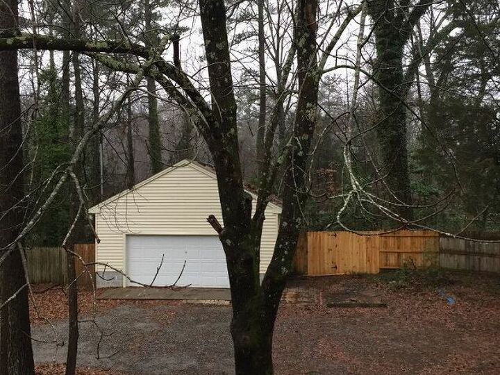 q is this tree dying