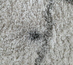 how can i get black grease out of a carpet