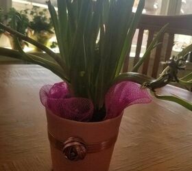 q plant i can t id green stems purple flowers is it a bulb