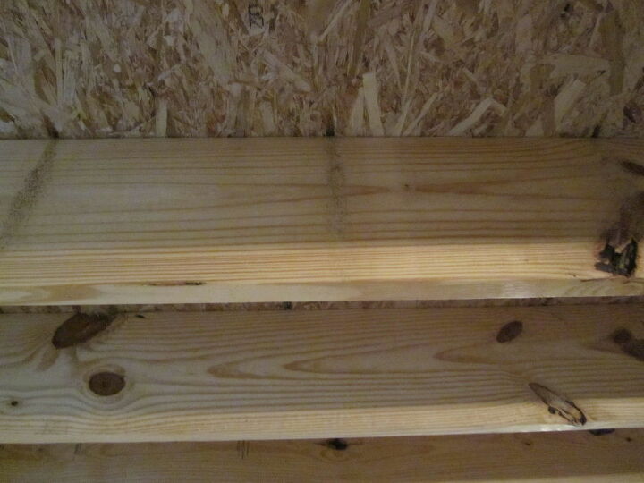what is causing holes and sawdust on ceiling rafter beams