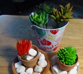 decorating with succulents