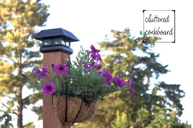 diy light post with another purpose for the garden