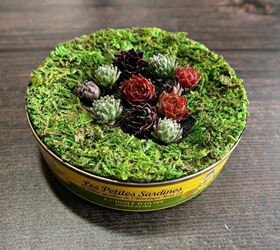 mini succulent planter