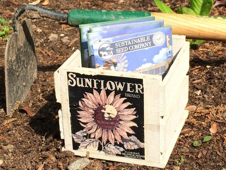 when to sow and plant seeds