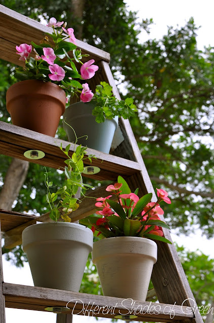 14 creative ways to plant a vertical garden maximize space, Repurpose an Old Wooden Ladder to Make a Vertical Garden Statement