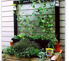 14 creative ways to plant a vertical garden maximize space, Use Chicken Wire to Make a Bright and Airy Vertical Garden Backdrop