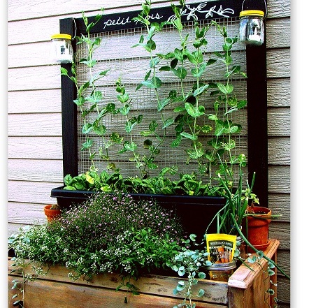14 creative ways to plant a vertical garden maximize space, Use Chicken Wire to Make a Bright and Airy Vertical Garden Backdrop